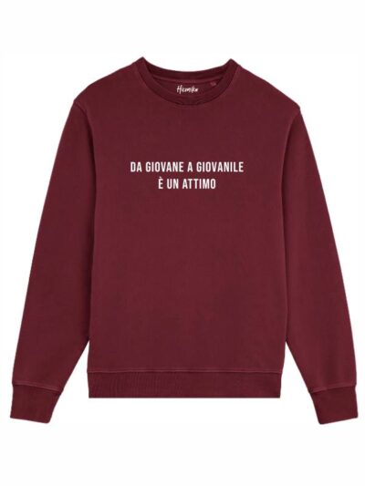 Felpa uomo scamosciata leggera Fiamma con la scritta in patch a rilievo "da giovane a giovanile è un attimo" - FFU16
