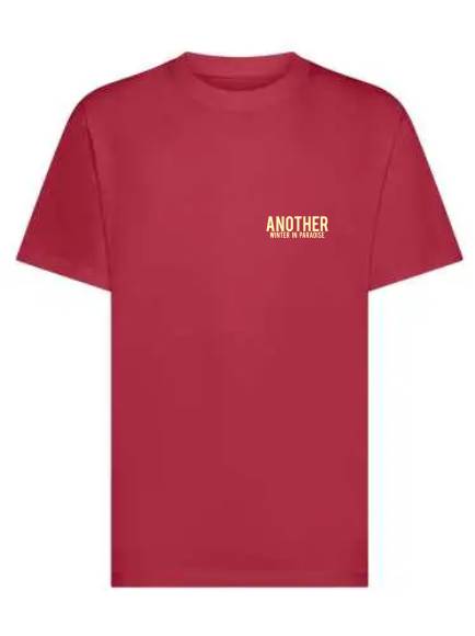 T-shirt uomo Ryder con stampa sulle spalle di una vespa e la scritta "another winter in paradise" lato cuore – TM064 - immagine 8