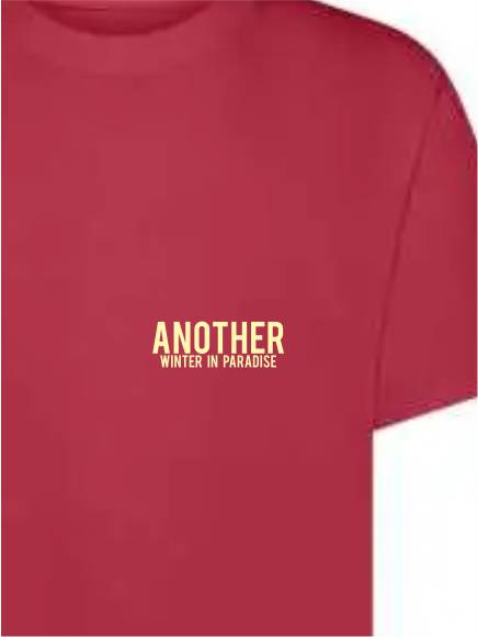 T-shirt uomo Ryder con stampa sulle spalle di una vespa e la scritta "another winter in paradise" lato cuore – TM064 - immagine 9